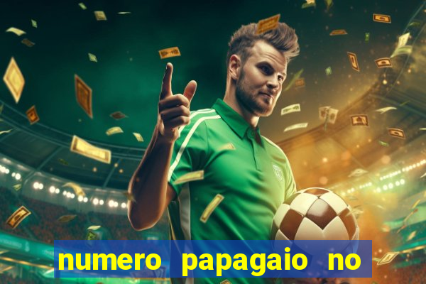 numero papagaio no jogo do bicho